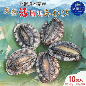 yӂ邳Ɣ[ŁzkCY VRڈ΂ Iׂ 5 ` 10i1100g`120gOji2025N11{͂jy ӂ邳Ɣ[ lC  LO z^e  Ar  