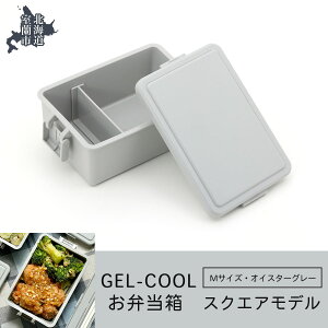 yӂ邳Ɣ[ŁzGEL-COOL ٓ XNGAf M ӂ邳Ɣ[ lC  LO ٓ  `{bNX ɂ P[X Jt X y  ۉ ۗ {bNX   