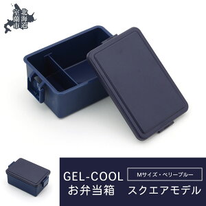 yӂ邳Ɣ[ŁzGEL-COOL ٓ XNGAf M ӂ邳Ɣ[ lC  LO ٓ  `{bNX ɂ P[X Jt X y  ۉ ۗ {bNX   