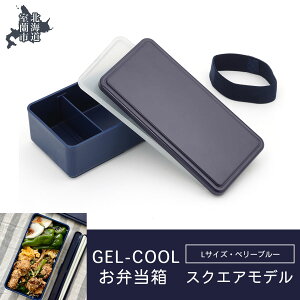 yӂ邳Ɣ[ŁzGEL-COOL ٓ XNGAf L y ӂ邳Ɣ[ lC  LO ٓ  `{bNX ɂ P[X Jt X y  ۉ ۗ {bNX  