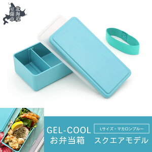 yӂ邳Ɣ[ŁzGEL-COOL ٓ XNGAf L y ӂ邳Ɣ[ lC  LO ٓ  `{bNX ɂ P[X Jt X y  ۉ ۗ {bNX  
