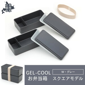 yӂ邳Ɣ[ŁzGEL-COOL ٓ XNGAf W ӂ邳Ɣ[ lC  LO ٓ  `{bNX ɂ P[X Jt X y  ۉ ۗ {bNX   