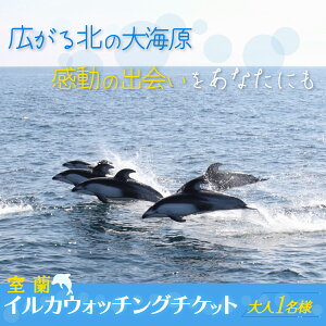yӂ邳Ɣ[Łz CJEHb`O`Pbg l1l y ӂ邳Ɣ[ lC  LO kC  l 1 CJ EHb`ONW `Pbg ό vCx[g Cx