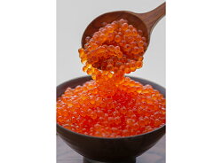 【ふるさと納税】北海道釧路市笹谷商店いくら醤油漬け(500g)Sa105-P134ふるさと納税いくら