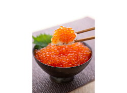 【ふるさと納税】北海道釧路市笹谷商店いくら醤油漬け(500g)Sa105-P134ふるさと納税いくら