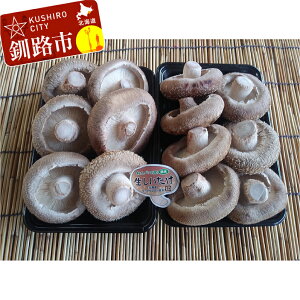 yӂ邳Ɣ[ŁzkCʎY ۏW{ 280g×2pbN  ő ̂  ۏ VC^P F4F-0800