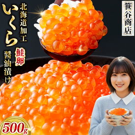【ふるさと納税】笹谷商店 いくら 醤油漬け 500g【復刻】【選べる発送時期】釧之助 笹谷商店 海鮮丼 12月発送 年内発送 年末 イクラ 鮭 魚卵 厳選 魚介類 ご飯のお供 逸品 醤油漬け イクラ丼 海鮮 海鮮丼 秘伝のたれ 冷凍 個包装 人気 パック 小分け 北海道 釧路市