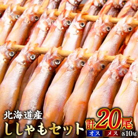 【ふるさと納税】【オスメス食べ比べ】 北海道産 ししゃもセット （オス・メス 各10尾） 計20尾 ししゃも シシャモ 魚 海鮮 魚介類 魚介 食べ比べ セット オス 雄 メス 雌 天日干し 干物 海産物 海の幸 おかず 朝食 おつまみ 冷凍 冷凍配送 北海道 釧路市 送料無料 F4F-3597