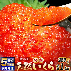 【ふるさと納税】最短5営業日以内発送 紅鮭 いくら 醤油漬け 250g / 500g / 750g / 1kg【選べる 発送月 / 容量】 訳あり 規格外 冷凍 醤油漬け 海鮮 海鮮丼 イクラ 個包装 小分け 魚卵 小粒 鮭いくら 醤油イクラ ご飯 紅鮭 いくら丼 訳アリ パック 人気 グルメ 北海道 釧路市