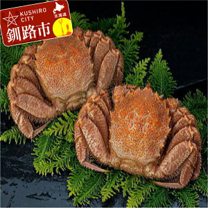 yӂ邳Ɣ[ŁzkCY {Cт 2 1.0kg kC H ӂ邳Ɣ[  I Jj уKj  CN CY F4F-0691