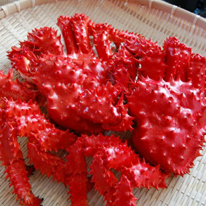 楽天市場 ふるさと納税 ボイル花咲蟹 2尾 1 3kg 北海道 釧路 ふるさと納税 かに カニ 蟹 花咲 花咲ガニ ボイル 茹で 海鮮 海産物 魚介 海の幸 F4f 0681 北海道釧路市