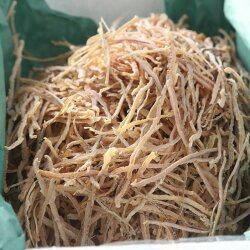 【ふるさと納税】北海道産・無添加スルメイカ300g×1Ta501-A183