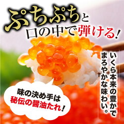 【ふるさと納税】北海道釧路市笹谷商店いくら醤油漬け(500g)Sa105-P134ふるさと納税いくら