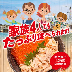 【ふるさと納税】北海道釧路市笹谷商店いくら醤油漬け(500g)Sa105-P134ふるさと納税いくら