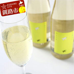 yӂ邳Ɣ[ŁzH iuXp[NOv500ml2{ kC H ӂ邳Ɣ[  AR[ i ӎ F4F-0525