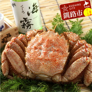 yӂ邳Ɣ[ŁzH uCvƖт 400g Zbg kC H ӂ邳Ɣ[  AR[  I Jj уKj lߍ킹 l ӎ F4F-0543