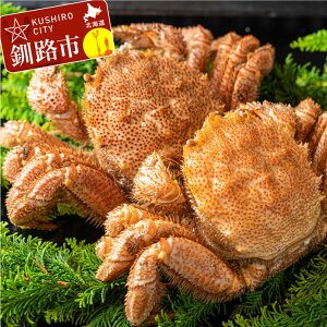yӂ邳Ɣ[Łz{CтɁil䥂ŋ}Ⓚj2i21.2kg`1.4kgj kC H ӂ邳Ɣ[ I   CY F4F-0448