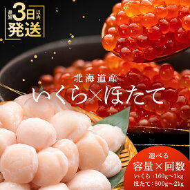 【ふるさと納税】★レビューキャンペーン実施中！★ 新物 北海道産 いくら 160g・250g & ほたて 500g セット 高評価 お刺身 国産 イクラ醤油漬け 鮭いくら 鮭卵 ほたて貝柱 帆立 ホタテ 海鮮丼 詰め合わせ ギフト 魚介類 発送時期が選べる 定期便 冷凍 F4F-2146var