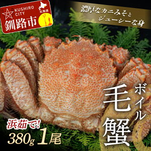 yӂ邳Ɣ[Łzyl䥂ŁIz {CуKj 380g iⓀj ×1 kC H ӂ邳Ɣ[ I  Jj ъI т C̍K CN   {C l 䥂 CY F4F-5338