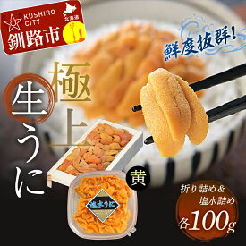 【ふるさと納税】【鮮度抜群！特選・特上えぞバフンうに食べ比べセット【黄】】塩水詰め100g×折ウニ100g 北海道 釧路 ふるさと納税 うに ウニ 雲丹 魚介類 海産物 F4F-0468