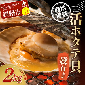 yӂ邳Ɣ[ŁzykC璼!!z ktz^eLi2.0kglj6`10 kC H ӂ邳Ɣ[ ق z^e ق  kt VR L L  CN CY F4F-7720