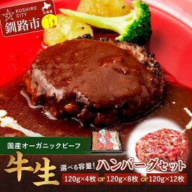 【ふるさと納税】容量×お届け月が選べる 釧路生まれ、釧路育ちのオーガニックビーフ 生ハンバーグ120g×4枚〜12枚 北海道 釧路 ふるさと納税 アンガス牛 牛肉 肉 加工品 発送時期が選べる F4F-1446var