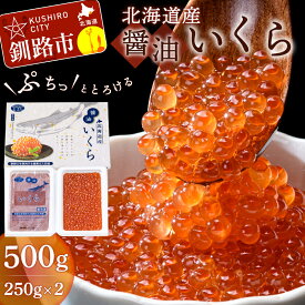 【ふるさと納税】北海道産醤油いくら 500g ふるさと納税 いくら 北海道産 いくら 小分け 250g x2 いくら醤油漬 海産 魚卵 F4F-1644