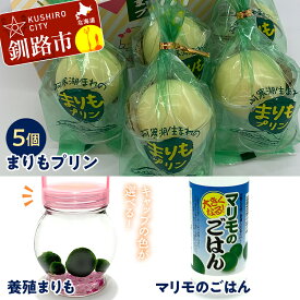 【ふるさと納税】阿寒湖銘菓まりもプリン5個入と養殖まりもセット（グリーン） 北海道 釧路 ふるさと納税 養殖まりも 飼育 プリン カスタード スイーツ 菓子 F4F-1864