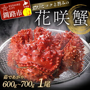 yӂ邳Ɣ[ŁzԍIi{CⓀj ×1 ykCEz kC H ӂ邳Ɣ[ ԍI  Jj I CN  C̍K {C 䥂 CY F4F-3391