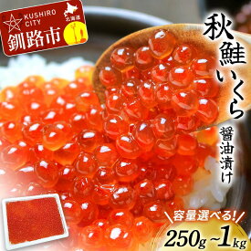 【ふるさと納税】容量×選べる発送月 【北海道産】 秋鮭 いくら醤油漬け 250g or 500g（250g×2パック）or 1kg（250g×2パック×2箱）定期便 いくら イクラ 魚卵 魚介類 海鮮 小分け 発送時期が選べる F4F-3791var