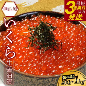 yӂ邳Ɣ[Łz Y kCY灚 ݖ I Y 200g 400g 500g 600g 1kg  CN kC CN ݖЂ  H   瘥 т̂ ͂×