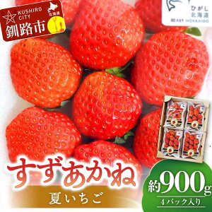 �y�ӂ邳�Ɣ[�Łz��s�\��!�y2026�N6�������珇�������z����������(M�`L) ��900g(4�p�b�N����)�Ă����� �C�`�S �ăC�`�S �ʕ� � ������ �� �X�B�[�c �P�[�L �t���[�c �k�C�� F4F-4623