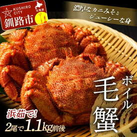 【ふるさと納税】【浜茹で！】 ボイル毛がに 2尾で900g前後 （北海道産/加工地 釧路） かに カニ 蟹 ボイル 浜ゆで 海鮮 魚介 海の幸 海産物 F4F-5339