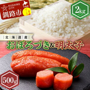 yӂ邳Ɣ[ŁzV kCYڂÂ2kgqi500gj ӂ邳Ɣ[  ڂÂ 炱 q F4F-7765