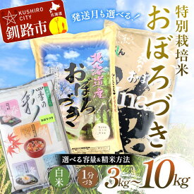 【ふるさと納税】 【令和7年度産 】 【新米】 【選べる容量・種類・発送月】北海道産 特別栽培米おぼろづき（3kg／5kg／10kg） 白米 1分づき 北海道産 米 コメ こめ お米 白米 玄米 F4F-9779var