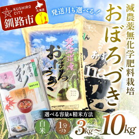 【ふるさと納税】【選べる容量・種類・発送月】【令和7年度産 】【新米】 農薬9割減 ・ 化学肥料不使用おぼろづき（3kg／5kg／10kg） 白米 1分づき 北海道産 米 コメ こめ お米 白米 玄米 F4F-9389var