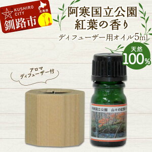 yӂ邳Ɣ[ŁzA}fBt[U[t VR100 gt̍ fBt[U[pIC5ml 1{  H n A}IC A} Mtg bNX  F4F-8180