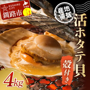 yӂ邳Ɣ[ŁzykC璼!!zktz^eLi4.0kglj12`20 kC H ӂ邳Ɣ[ L ق z^e  Yn  CN F4F-7718