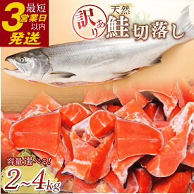 【ふるさと納税】容量が選べる 訳あり 天然紅鮭切落し 1kgずつ 2kg / 3kg / 4kg 訳アリ わけあり 不揃い 鮭 紅鮭 サケ さけ しゃけ シャケ 天然 切落し 切り身 切身 魚 海鮮 魚介 海産物 焼き魚 冷凍 家庭用 おかず 弁当 朝食 切り落し 北海道 釧路市 送料無料