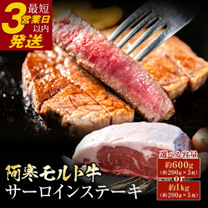 yӂ邳Ɣ[ŁzkCY ɏԐg gT[CXe[L 600gi200g×3jor 1kg i200g×5jyIׂzkCY  kC Hӂ邳Ɣ[    Ԑg T