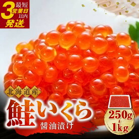 【ふるさと納税】 容量 × 発送時期が選べる 新物 北海道産 鮭 いくら 醤油漬け 250g 500g 750g 1kg 北海道 ふるさと納税 いくら いくら醤油漬け イクラ 丼 魚介類 海鮮 魚卵 F4F-3532var