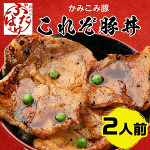【ふるさと納税】豚丼のぶたはげ「これぞ豚丼 2人前」(ロース豚肉、豚丼のたれ、コショウ)【配送不可地域:離島】【1357286】