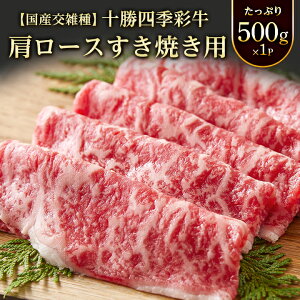 yӂ邳Ɣ[Łz\lGʋ[XĂp(250g×2P)yYGz@yzsnFzy1211791z