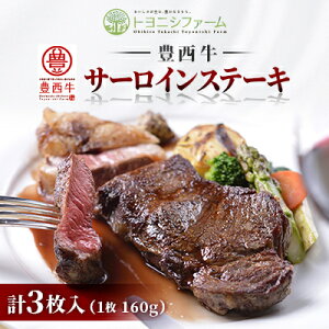 【ふるさと納税】豊西牛サーロインステーキ3枚入ギフト【配送不可地域:離島】【1205301】