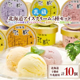 【ふるさと納税】乳蔵北海道アイスクリーム5種セット(計10個)(110130)【配送不可地域：離島】【1206078】