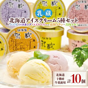 【ふるさと納税】乳蔵北海道アイスクリーム5種セット(計10個)(110130)【配送不可地域:離島】【1206078】