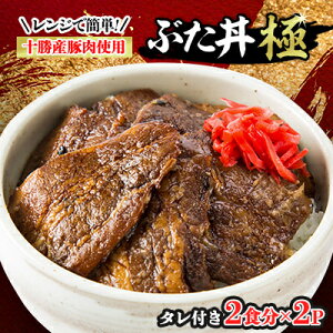 【ふるさと納税】レンジで簡単!冷凍ぶた丼極(肉100g×2、タレ15g×2入り)×2パックとぶた丼のタレセット【配送不可地域:離島】【1259606】