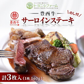 【ふるさと納税】【のし付】豊西牛サーロインステーキ 3枚入 計480g ギフト 贈答用 トヨニシソース付【配送不可地域：離島】【1144345】
