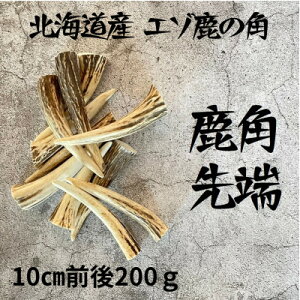 yӂ邳Ɣ[Łz̊p }10cmO200gZbg kCY ANZT[ Ntgށy1413839z