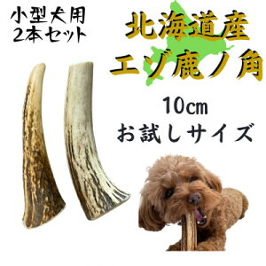 yӂ邳Ɣ[Łz̊p TCY 10cm 2{ ̂ f^PA ^py1415910z